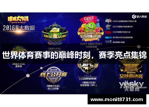 世界体育赛事的巅峰时刻，赛季亮点集锦