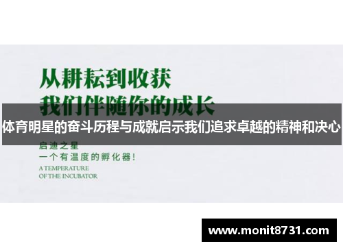 体育明星的奋斗历程与成就启示我们追求卓越的精神和决心
