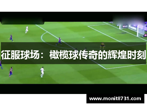 征服球场：橄榄球传奇的辉煌时刻